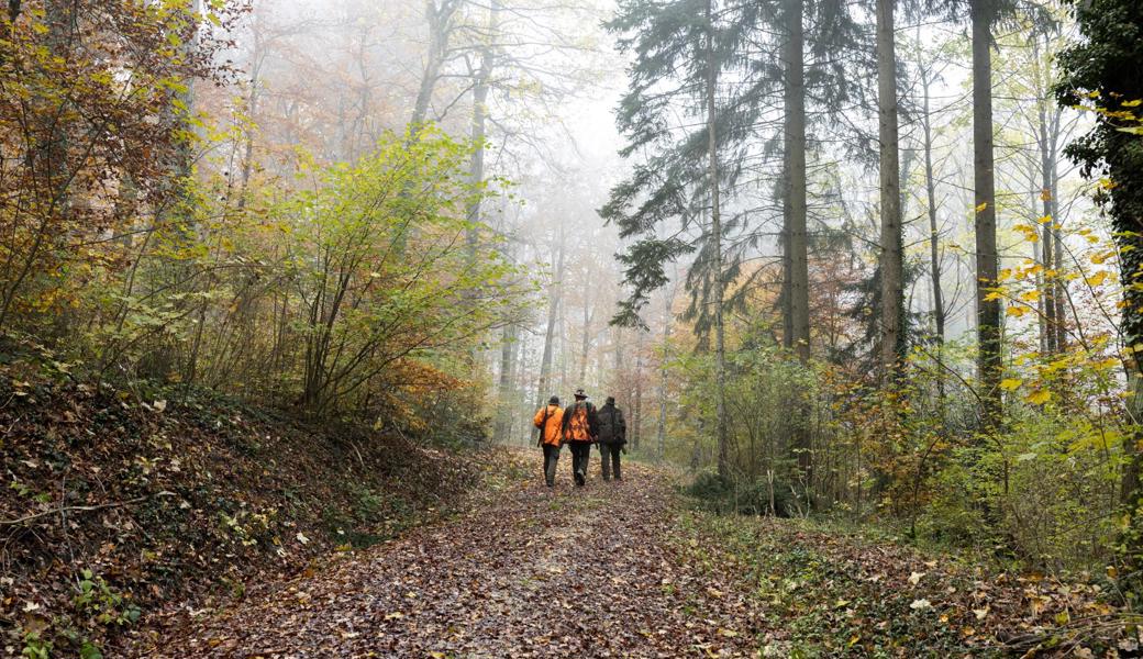 Auf Gesellschaftsjgaden tragen Jägerinnen und Jäger aus Sicherheitsgründen orange Warnwesten.