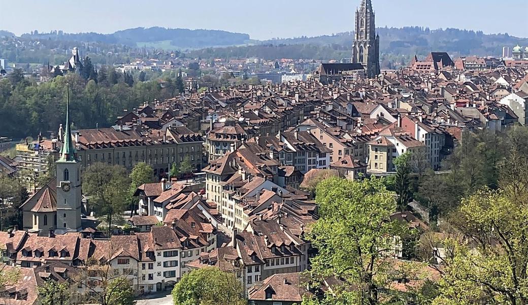 Das Fern-Homeoffice erlaubt nicht nur Arbeit, sondern auch Spaziergänge. Etwa in den Rosengarten mit herrlicher Aussicht.