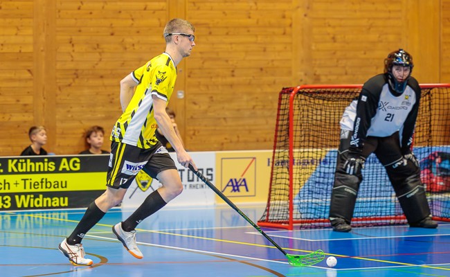 Die Gators schliessen die Hinrunde mit einem Heimspiel ab