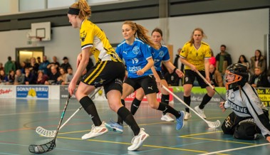 Die Gators-Frauen nehmen in der 2. Liga Kurs auf den Gruppensieg