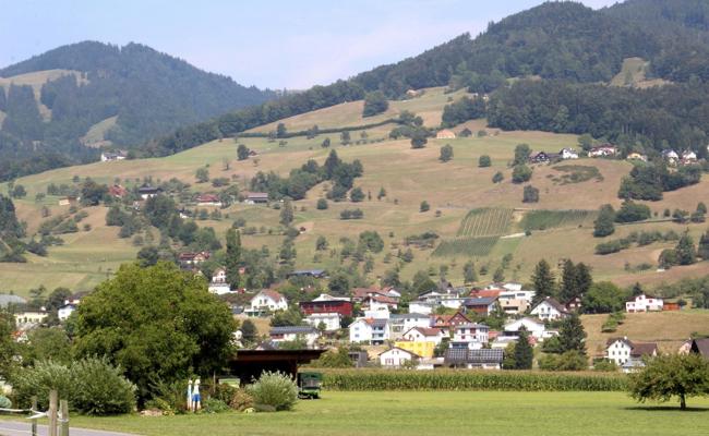 Die Südhänge sind knochentrocken
