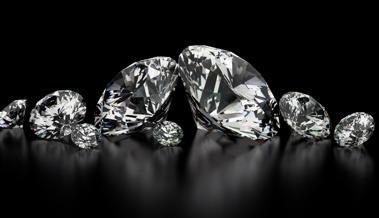 Rheintaler Jungunternehmen brillieren bei "Startfeld Diamant"