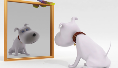 Spieglein, Spieglein an der Wand – welche ist die stimmungsvollste Eishalle im Land?