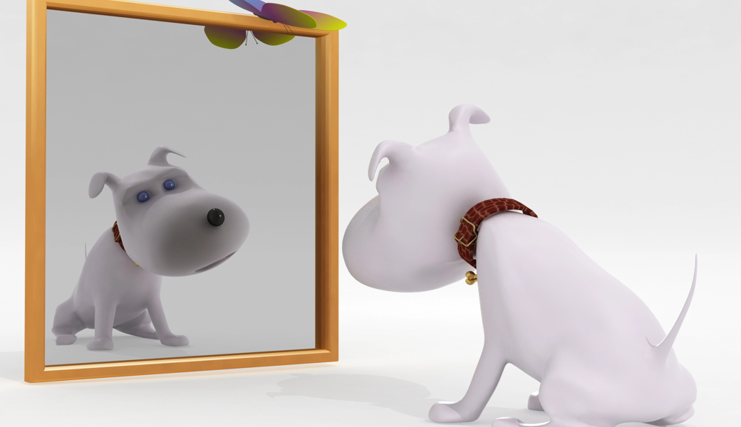 Spieglein, Spieglein an der Wand – welche ist die stimmungsvollste Eishalle im Land?