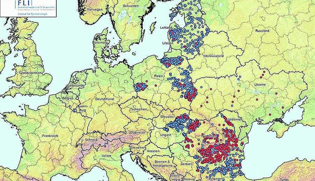 Ausbreitung der Afrikanischen Schweinepest in Europa. 