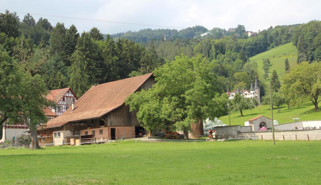 Lüchingen (R), St.Margrethen (N), Berneck (E), Rheineck (L)