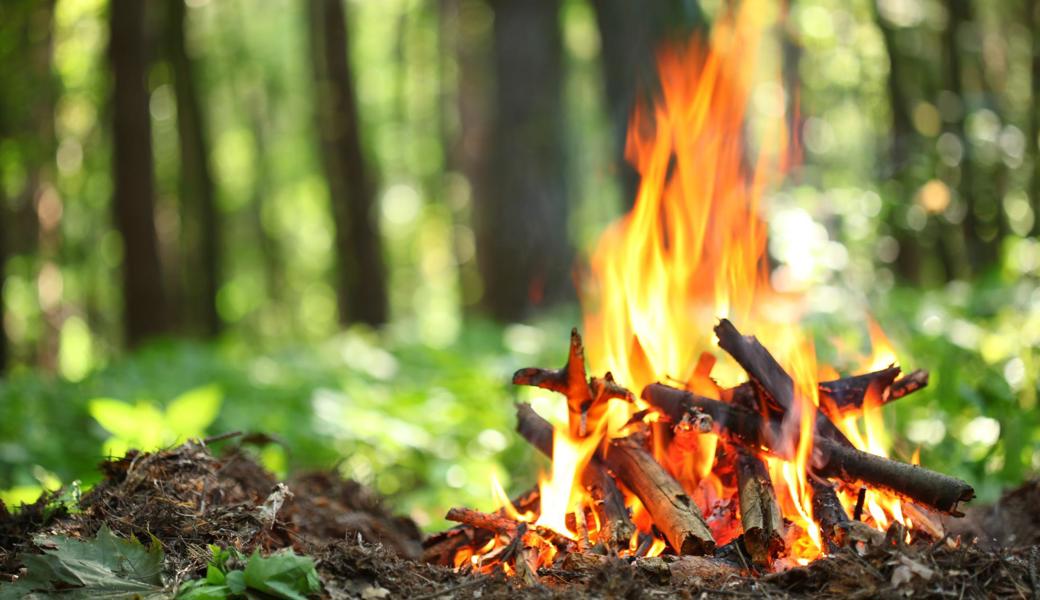 Noch ist es erlaubt, im Wald ein Feuer zu machen. Doch am besten verzichtet man darauf.