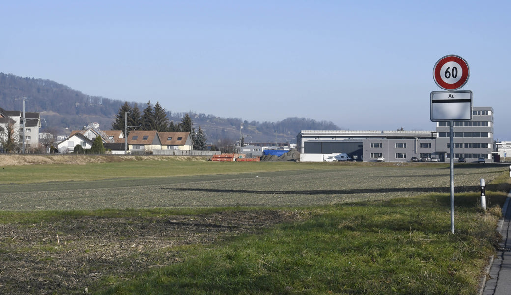 Auf der grünen Wiese, neben dem Lidl in Heerbrugg, soll ein zentrales Feuerwehrdepot gebaut werden