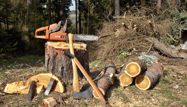 Schutzwald im Schlifitobel wird gepflegt und vor Rutschungen gesichert