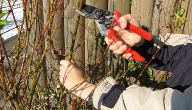 Mit Schere, Kompost und Nistkästen fit in die Gartensaison starten