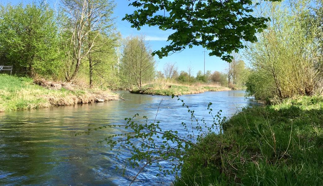 Am Kanal beim Tratthof Balgach