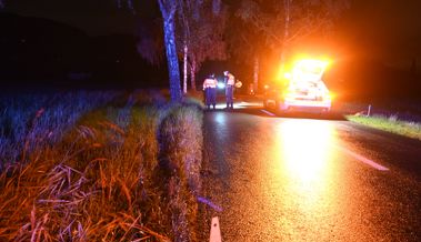 Rollerfahrer stürzt betrunken gegen Baum: Führerschein entzogen