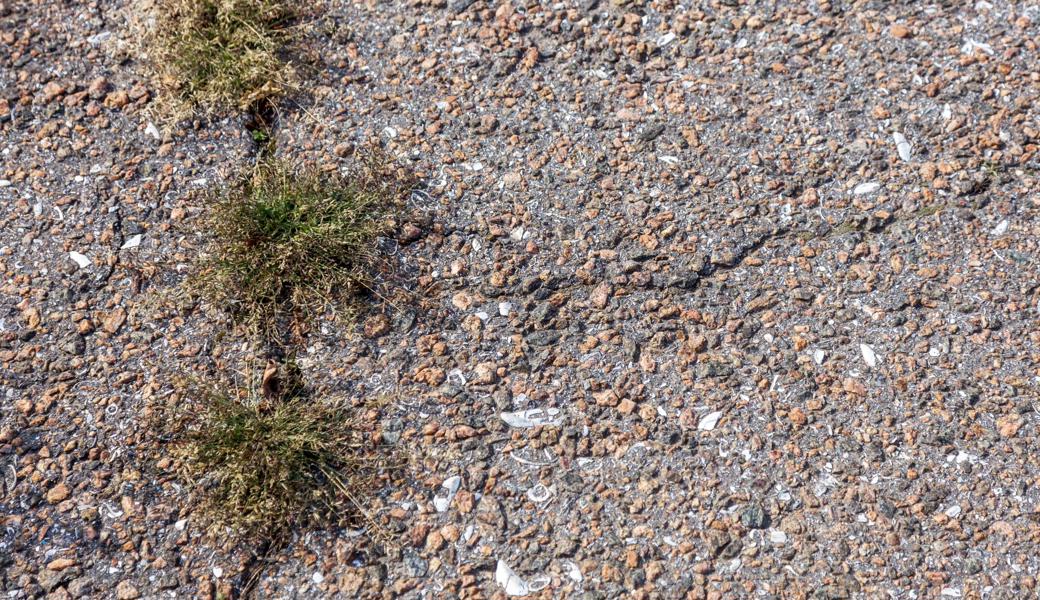 Risse oder Löcher  auf öffentlichen Wegen selber stopfen.