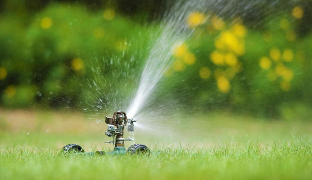 Bis auf weiteres soll auf den Rasensprinkler oder das Befüllen von Bassins verzichtet werden. 