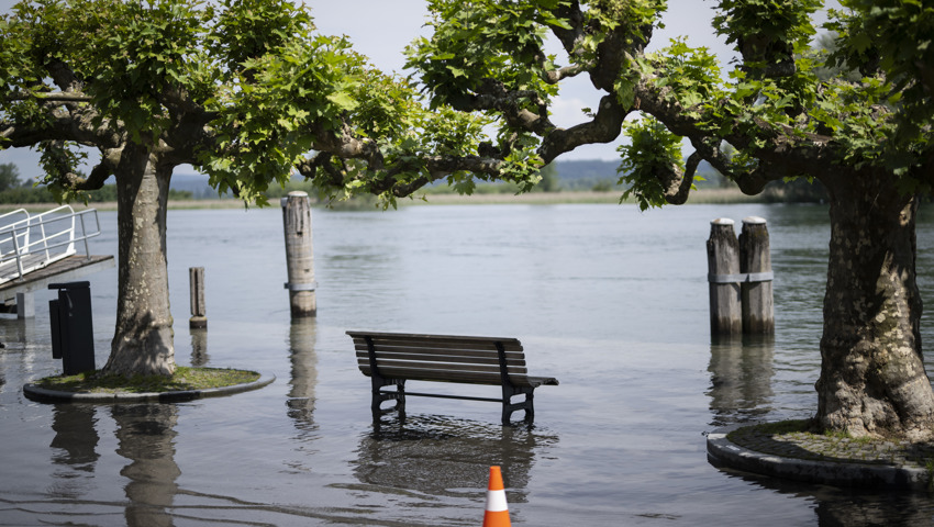 Am Untersee ist die Situation derzeit noch angespannter als am Obersee.