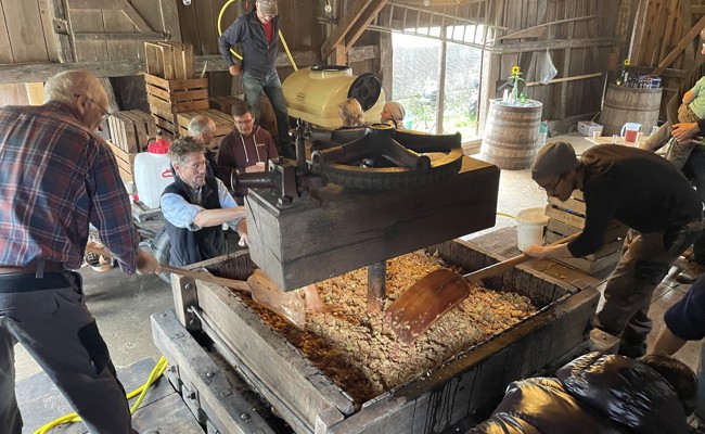 Mosten wie vor 100 Jahren: Apfelfreunde erleben Handarbeit und geniessen frischen Apfelsaft