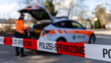 Streit, Überforderung und ein verhindertes Drama - ein weiterer intensiver Tag für die Polizei