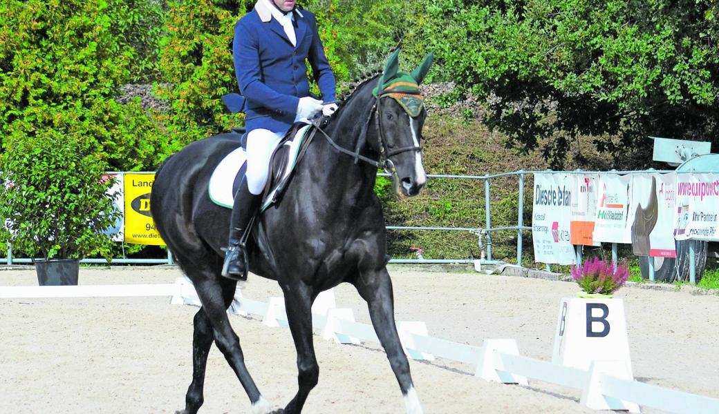 Dressurmeister des Kavallerievereins Oberrheintal: Vereinspräsident Arno Langenegger mit Autumn’s Crystal. 