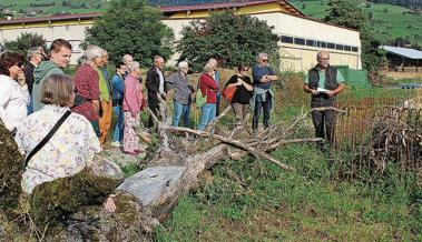 Natur- und Nutzgarten ergänzen sich