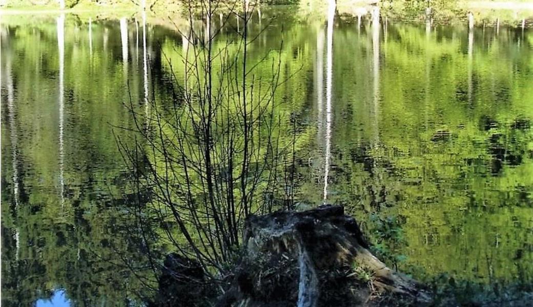 Vor den 1920er-Jahren hatte Oberriet erwogen, den auf Innerrhoder Gebiet liegenden Forstsee anzuzapfen. 