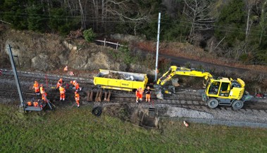 «Besondere Betriebssituation»: Gründe für die Gaiserbähnli-Zugentgleisung sind geklärt