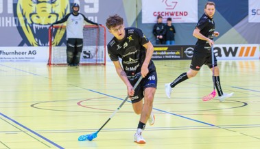 Rheintal Gators starten mit einem Sieg in die Playoffs