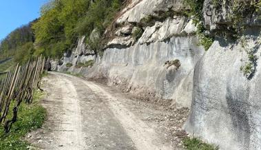 Pünktlich zum sonnigen Wochenende: Grüeziweg wieder offen