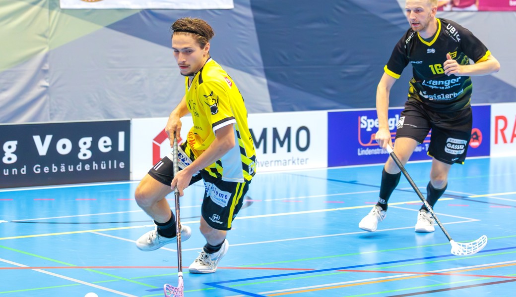 Die Rheintal Gators schliessen das Jahr mit einem Heimspiel ab