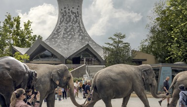 Preis für Architekten und ihr Bauwerk «Knies Zauberhut» Preis für Architekten und ihr Bauwerk «Knies Zauberhut»