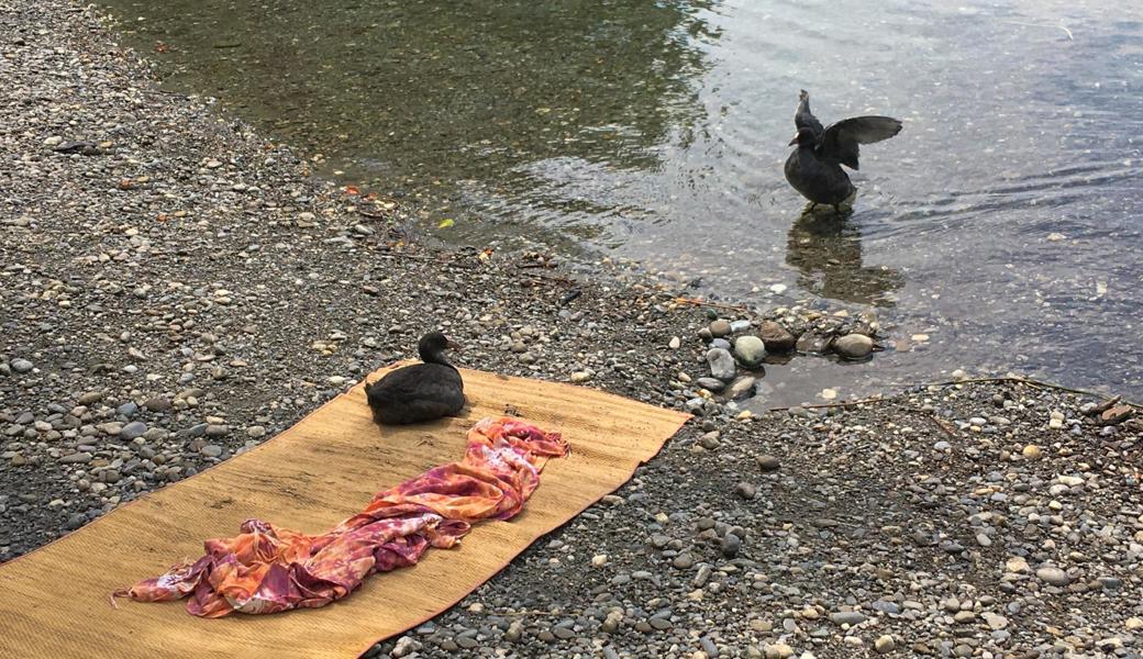 Badefreuden am alten Rhein