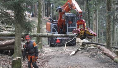 Gemeinsam den Wald pflegen