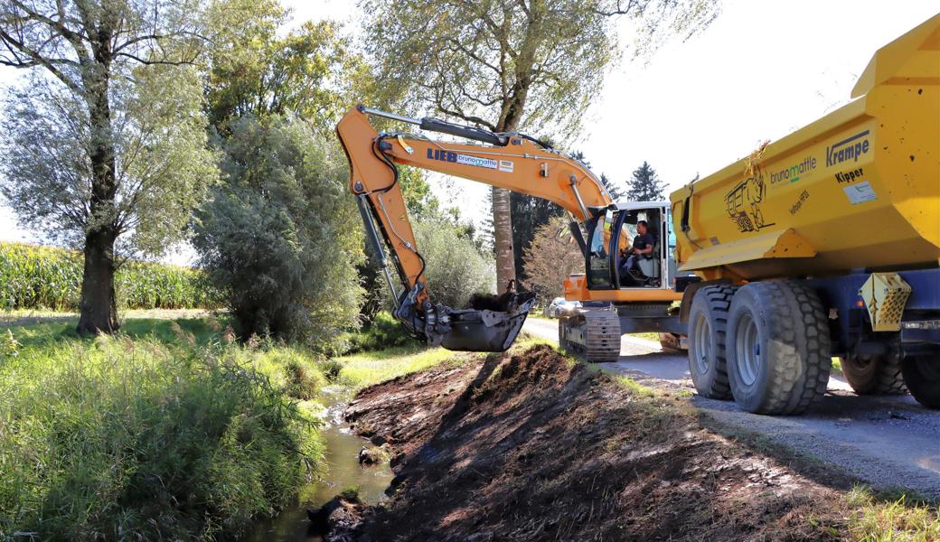 Auf einer Strecke von einem Kilometer wird am Zapfenbach in Kriessern derzeit Letten abgetragen. 