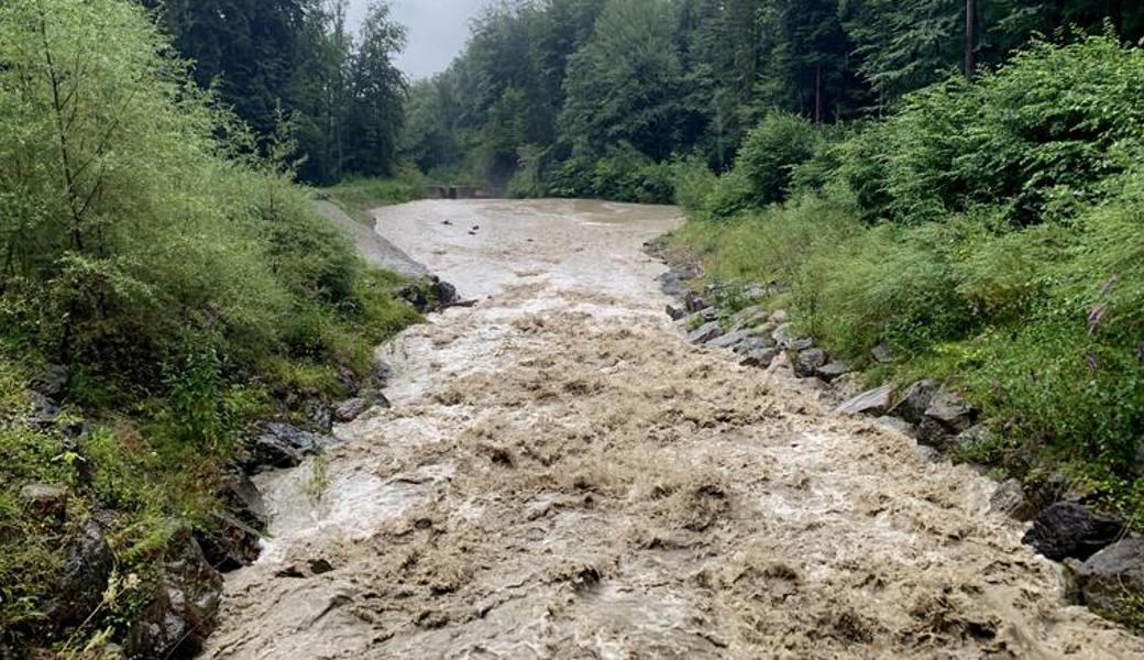 Das Wasser blieb in den Bachbetten, auch weil die Sammler nicht verstopften, wie hier im Auerbach.