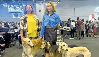Windhunde vom Bodensee räumen an der «World Dog Show» ab