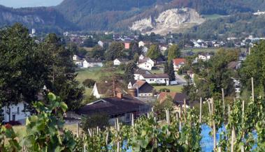 Ortsgemeinde lädt in den Rebberg ein