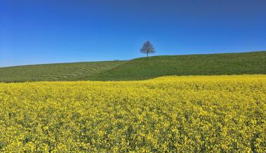 Trotz allem den Frühling geniessen