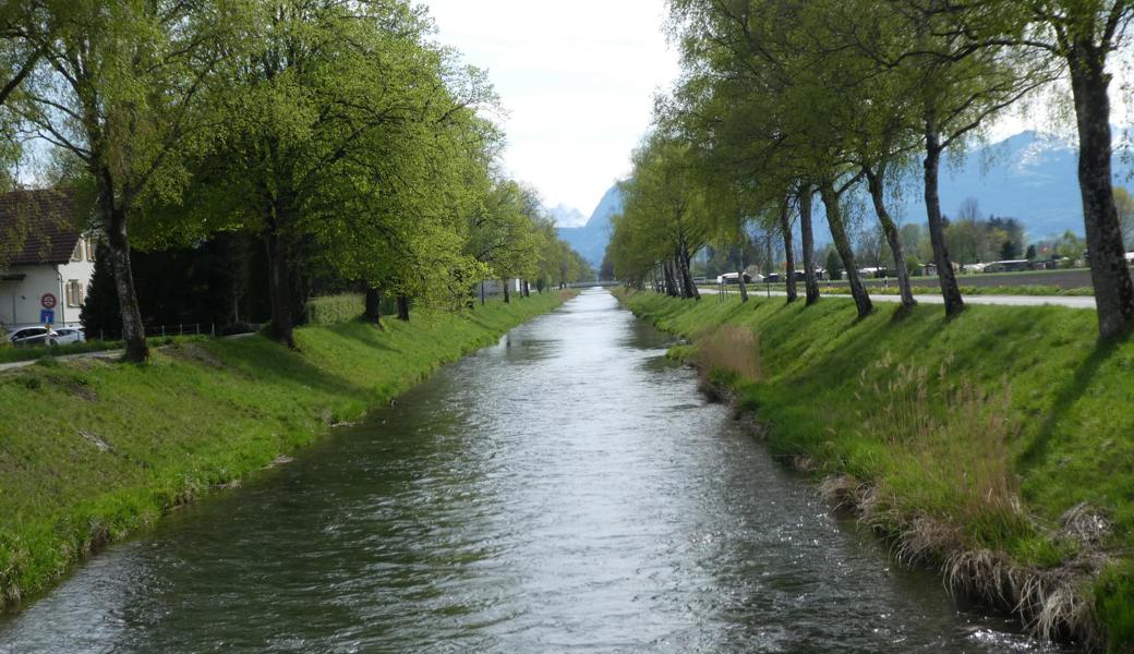 Die Bäume am Kanal haben nun alle ihr grünes Kleid wieder angezogen.