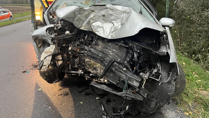Crash im Riet: 26-Jährige prallt gegen einen Baum