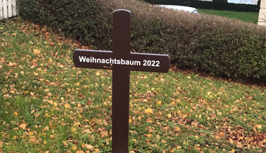 Ein stiller Protest: Den Weihnachtsbaum beerdigt Ein stiller Protest: Den Weihnachtsbaum beerdigt