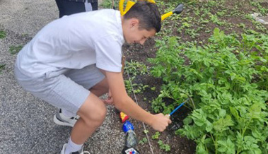 Jugendjobbörse für das ganze obere Rheintal