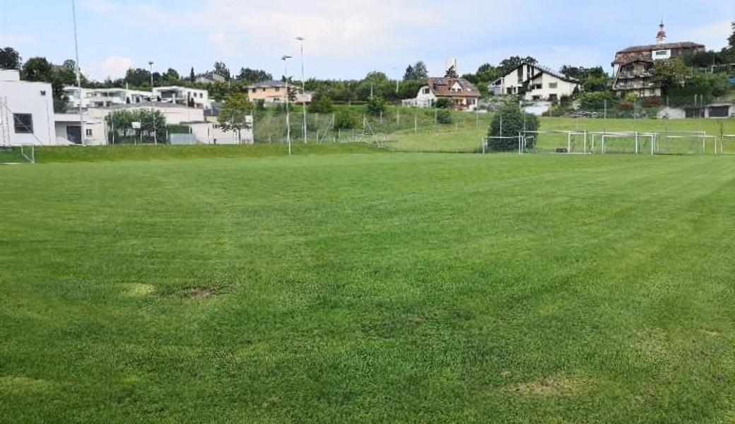 Der Bützel-Trainingsplatz kann erneuert werden.