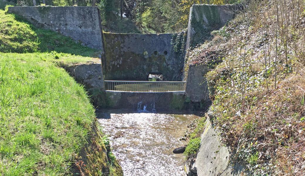 Der Kiesfang am Schutzmülibach in St. Margrethen ist in einem schlechten Zustand und muss erneuert werden. 