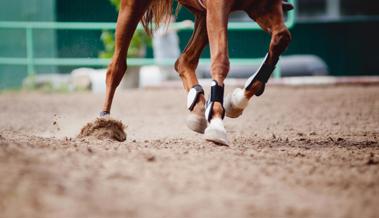 Bei Reitunfall verletzt