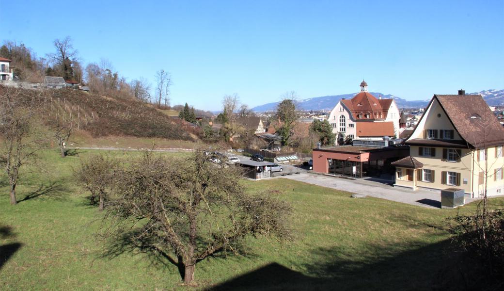 Der Sonnenberg, hier mit Blick aufs Schulhaus und die Klinik des Psychiatrie-Zentrums, geniesst weitgehenden Schutz.