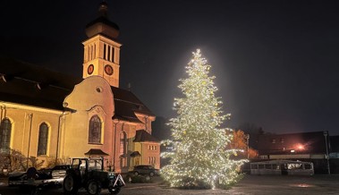 Von Altstätten bis Rheineck: Diese Weihnachtsbäume verzaubern das Rheintal – welcher ist der schönste?