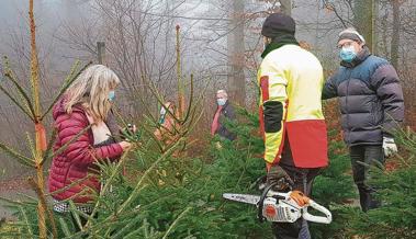 Christbaum im Nebel ausgesucht