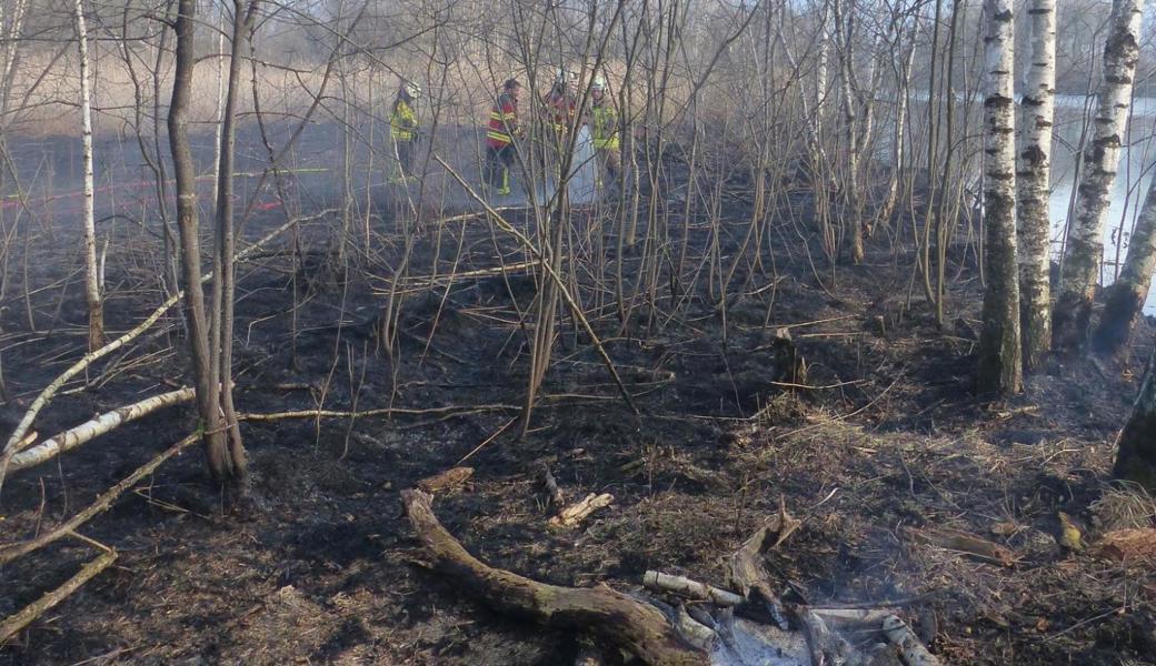 Vom Feuer betroffen war eine Fläche von etwa 800 Quadratmetern.