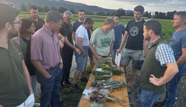 Extreme Wetterlagen und Biodiversität: Landwirte im Rheintal geraten unter Druck