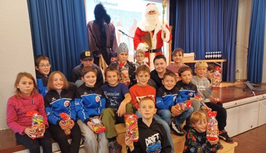 Jahresabschluss mit vielen Ehrungen bei den Rheintaler Judokas