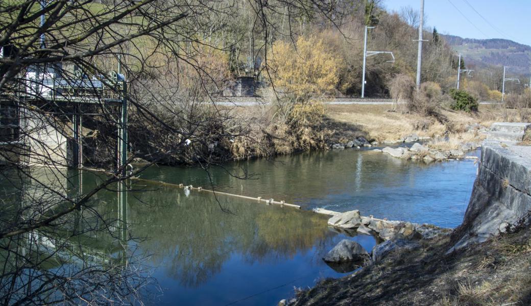 Ab unterhalb der Schleuse, der Verbindung zwischen dem Werdenberger und dem Rheintaler Binnenkanal, ist das Fliessgewässer im «Schluch» grossteils renaturiert. 